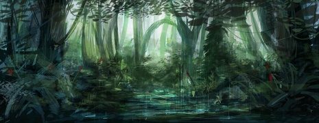 The forest in the rain.