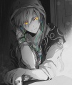 Thumbnail for version as of 09:14, 10 June 2016