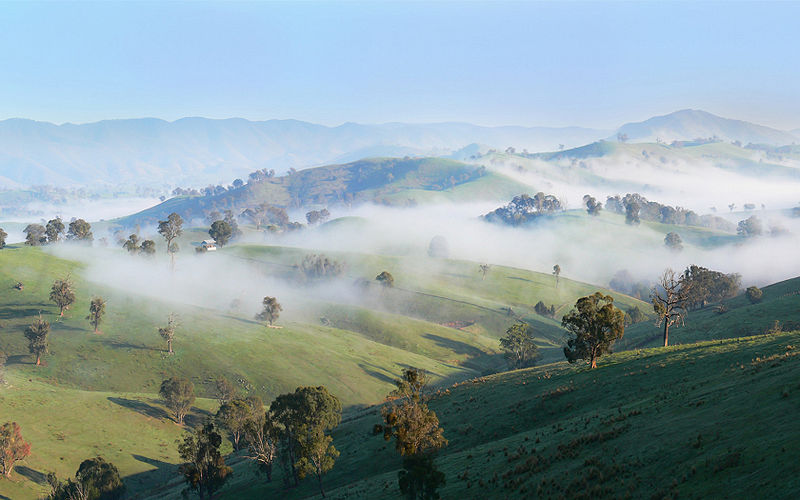 File:Mizu.jpg