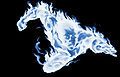 Thumbnail for version as of 10:57, 20 December 2009